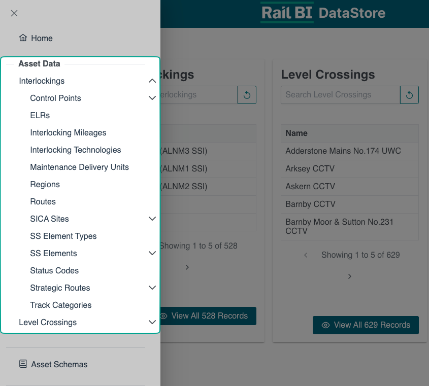 Asset data menu